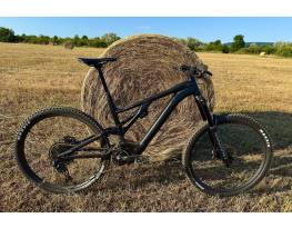 29" Specialized Kenevo Expert 700wh/90nm