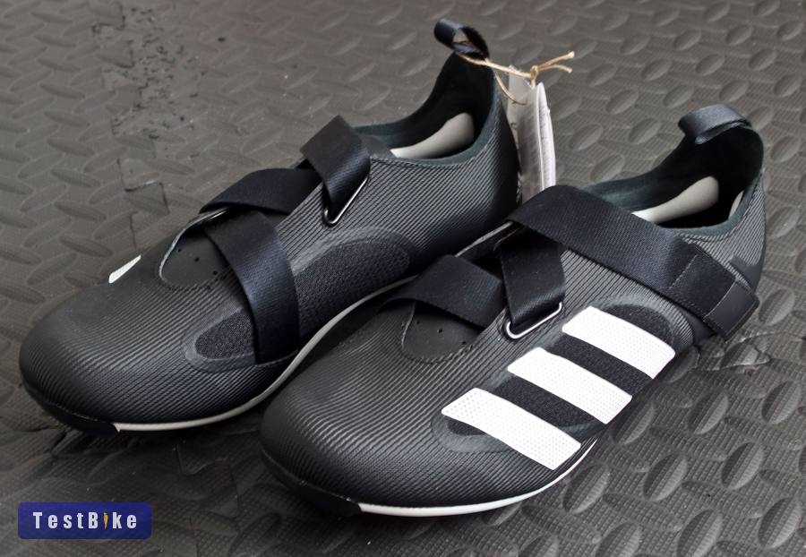 Adidas GX6544 (43 1/3)