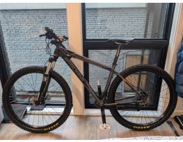 Airborne Seeker 29''