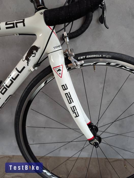 Akció! White Bull B25SR, Campagnolo Record 2x10's!