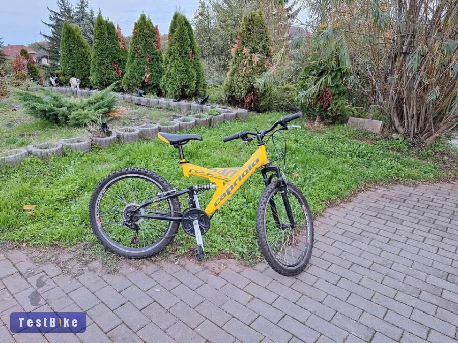 Alig használt Capriolo CTX 240 eladó
