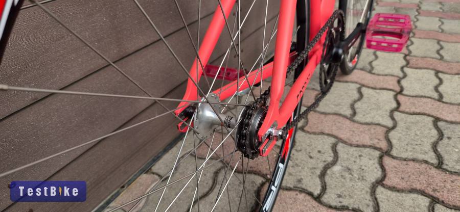 Aventon Cordoba single speed, újszerű, karbon villával