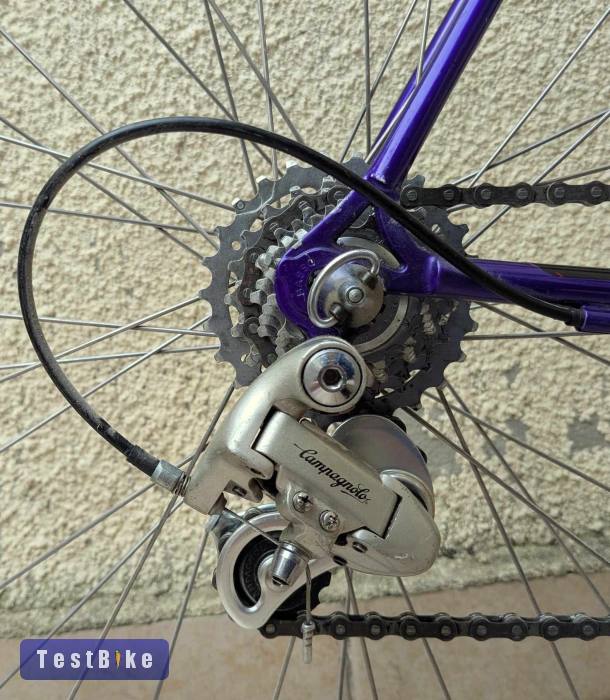 Basso Coral 1993 full Campagnolo set