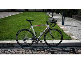 Basso Loto