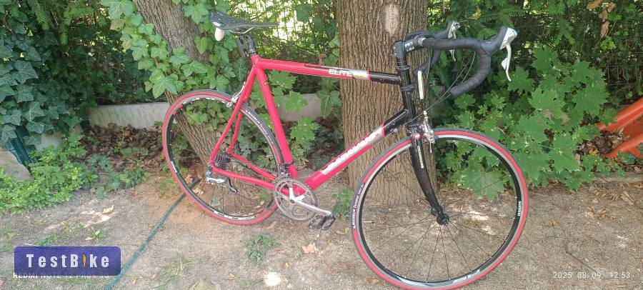 Batavus elite orszàguti bringa eladó