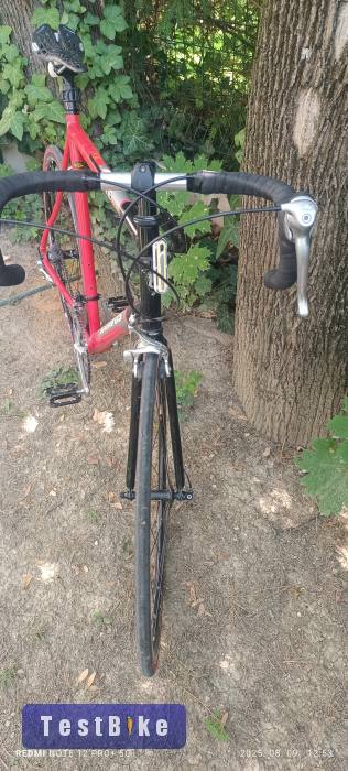 Batavus elite orszàguti bringa eladó