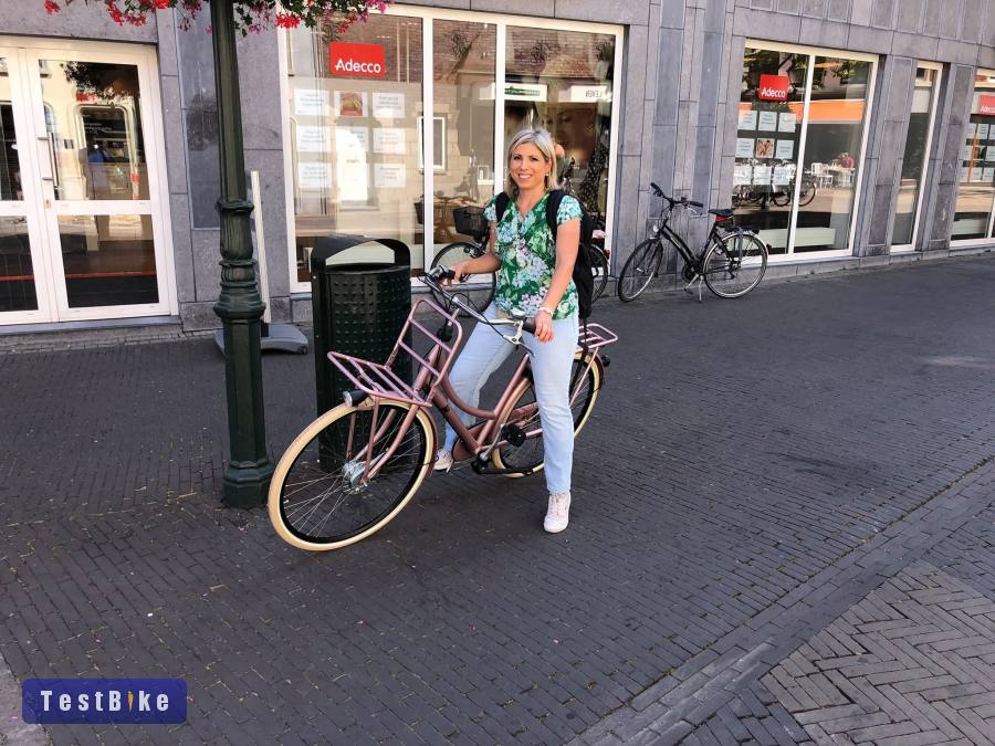 Batavus holland, városi, női kerékpár, újszerű