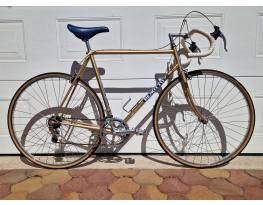 Benotto Modelo 1600