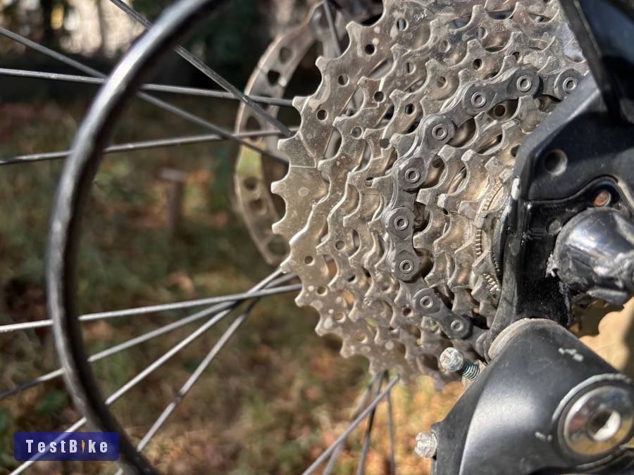Bergamont Grandurance RD5