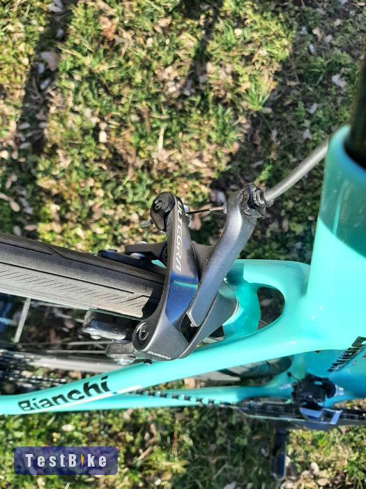 Bianchi Aria (53)