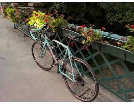 Bianchi C2C Nirone 7 Xenon, Claris Celeste zöldben!