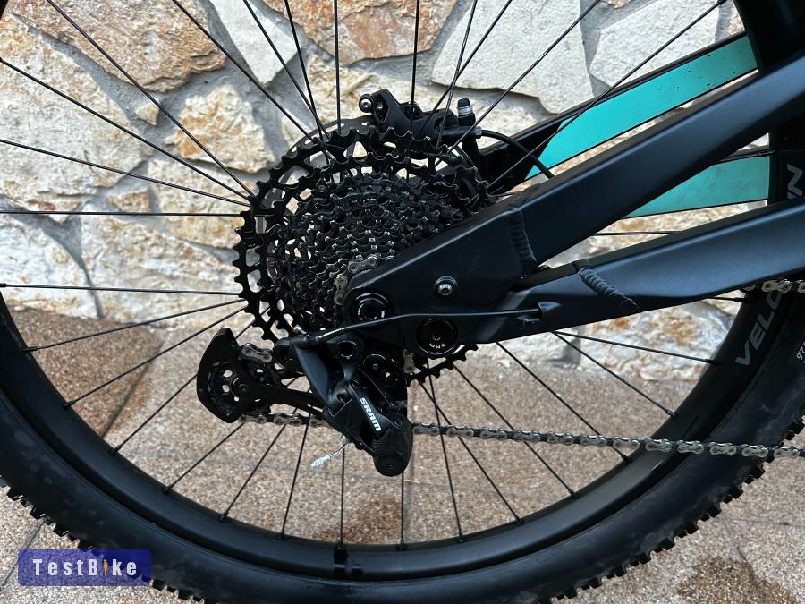 Bianchi e-Vertic