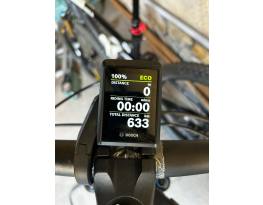 Bianchi e-Vertic