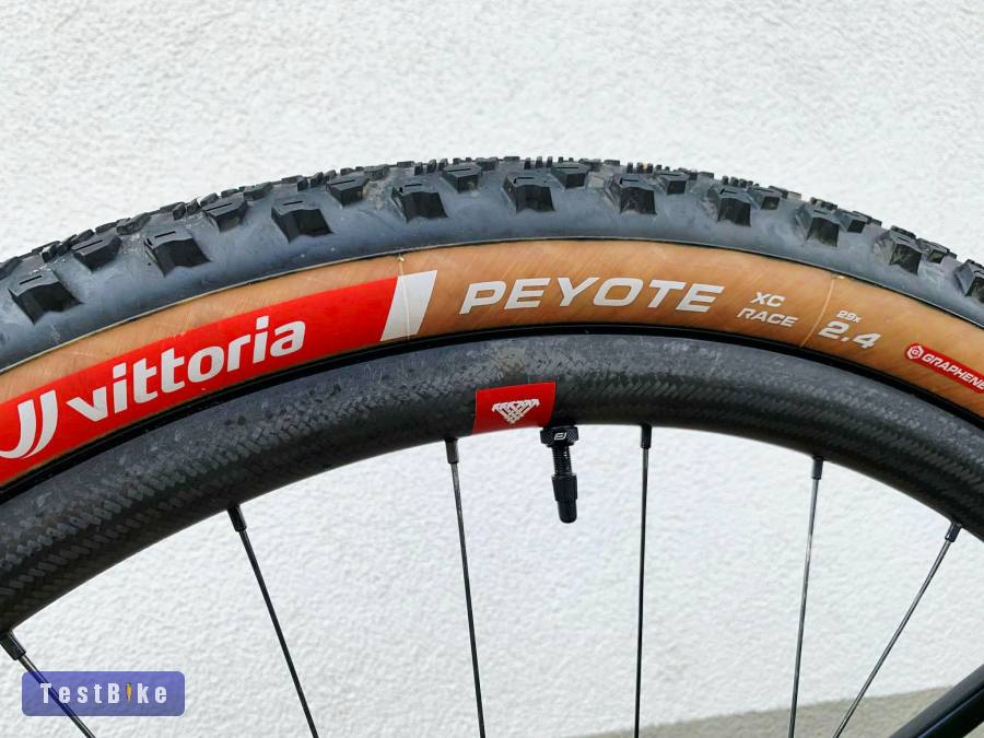 BMC Twostroke 01 FRS [2023]