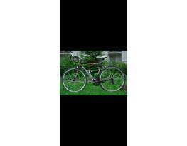 Bottecchia Duello 105