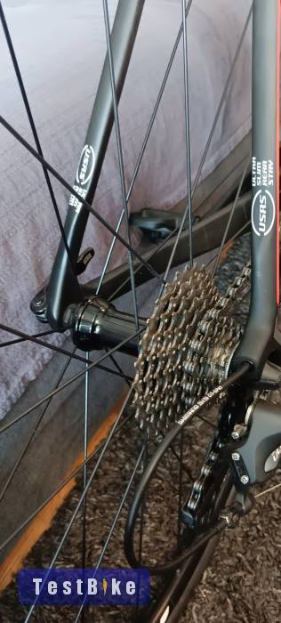 Bottecchia evo