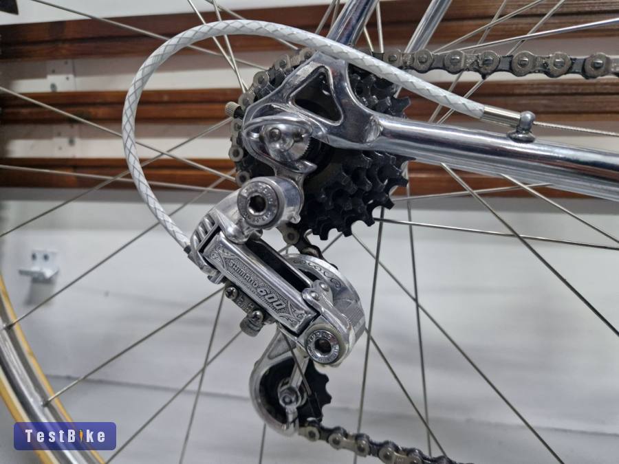 Bottecchia Scic (1981)