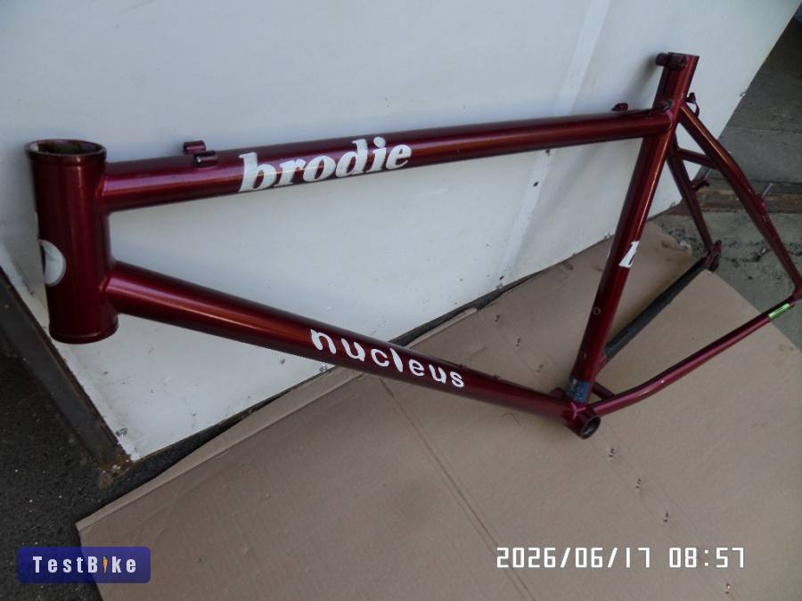 Brodie nucleus 18 coll 