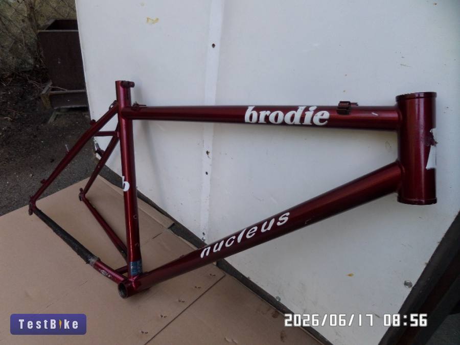 Brodie nucleus 18 coll 