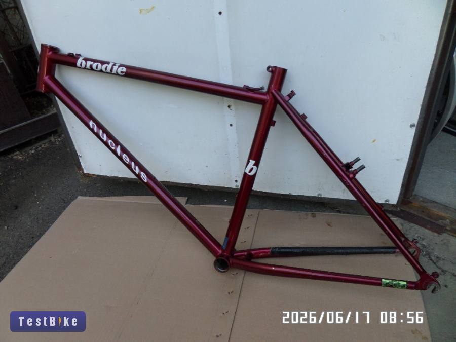 Brodie nucleus 18 coll 