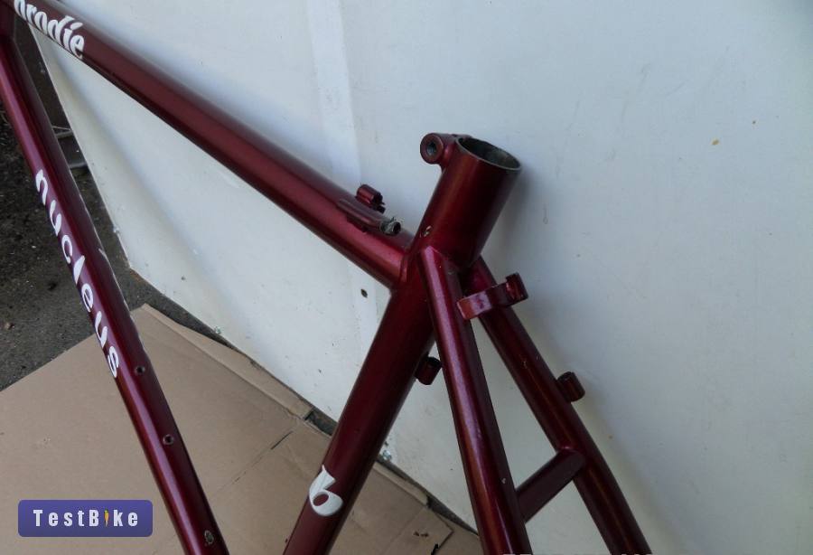 Brodie nucleus 18 coll 
