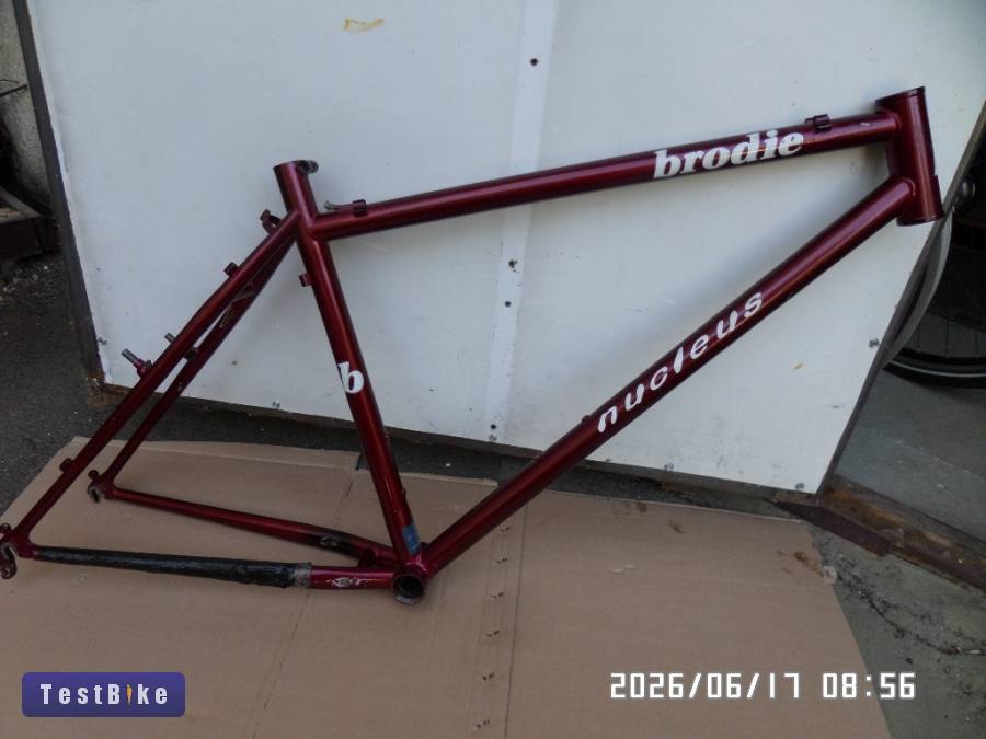 Brodie nucleus 18 coll 