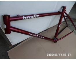 Brodie nucleus 18 coll 