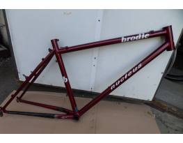 Brodie nucleus 18 coll 