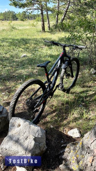 Calibre Sentry 2021 M 29”
