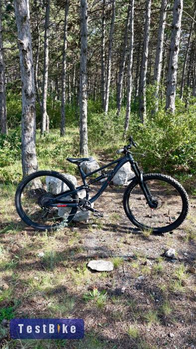 Calibre Sentry 2021 M 29”