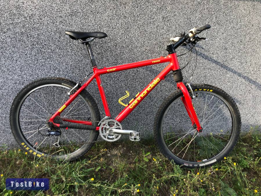 Cannondale F2000 Fatty