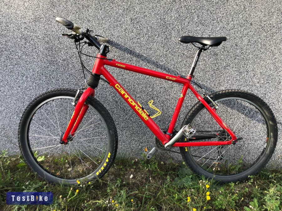 Cannondale F2000 Fatty