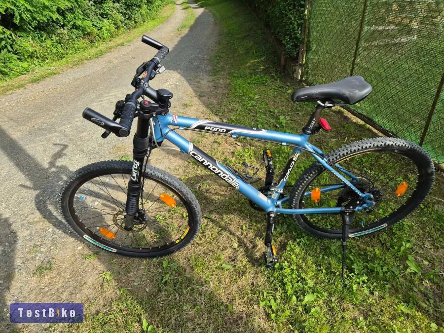 Cannondale F800 Lefty Vintage