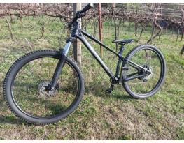 Cannondale Habit HT 3