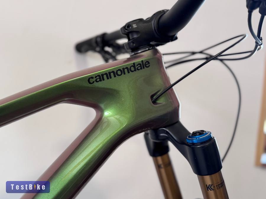 Cannondale Jekyll 1 Enduro L