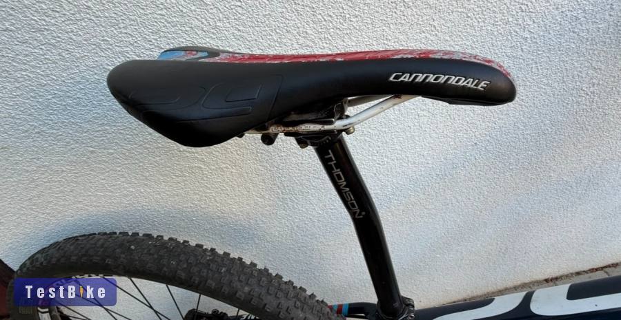 Cannondale Lefty F29