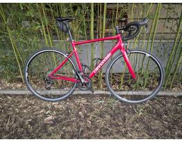 Cannondale Optimo1  56  R7000