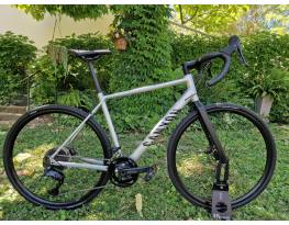 Canyon Endurace Allroad