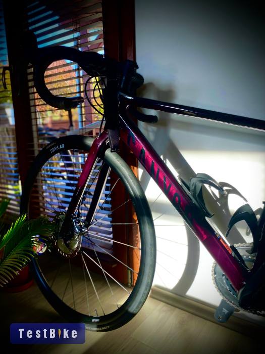 Canyon Endurance CF SL - XS