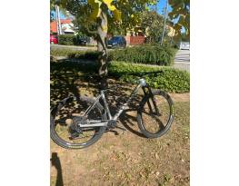 Canyon exceed cf7