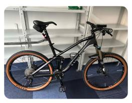 Canyon Nerve 9.9