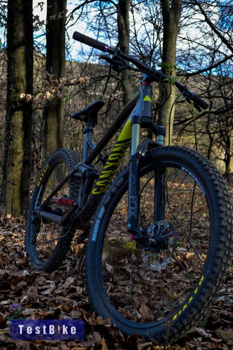 Canyon Nerve AL