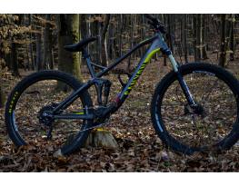 Canyon Nerve AL