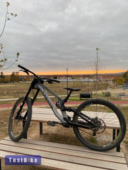 Canyon Sender AL 2020