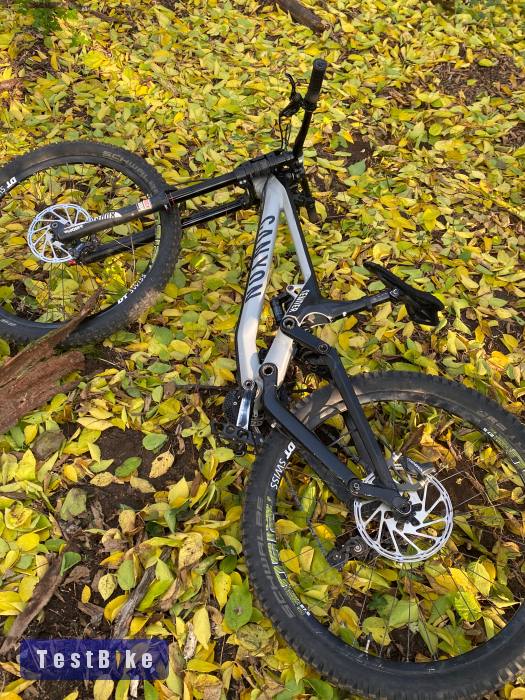 Canyon Sender AL 2020