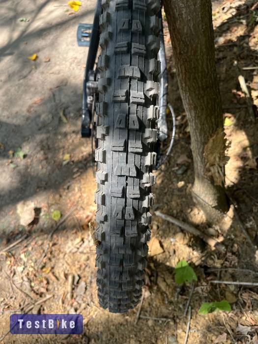 Canyon Sender CF8 