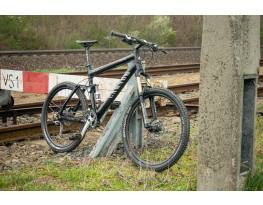 Canyon Spectral F10 Carbon