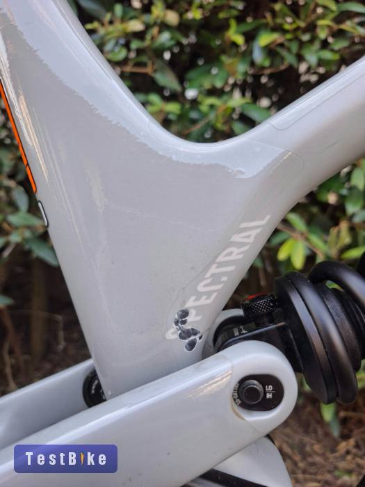 Canyon Spectral Mullet CF8 CLLCTV 2023 M eladó