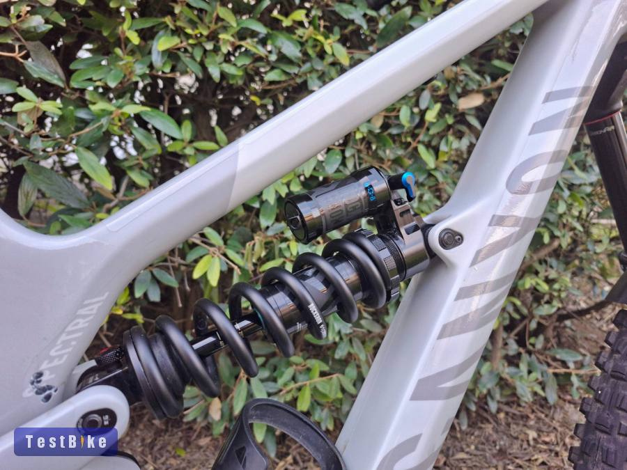 Canyon Spectral Mullet CF8 CLLCTV 2023 M eladó