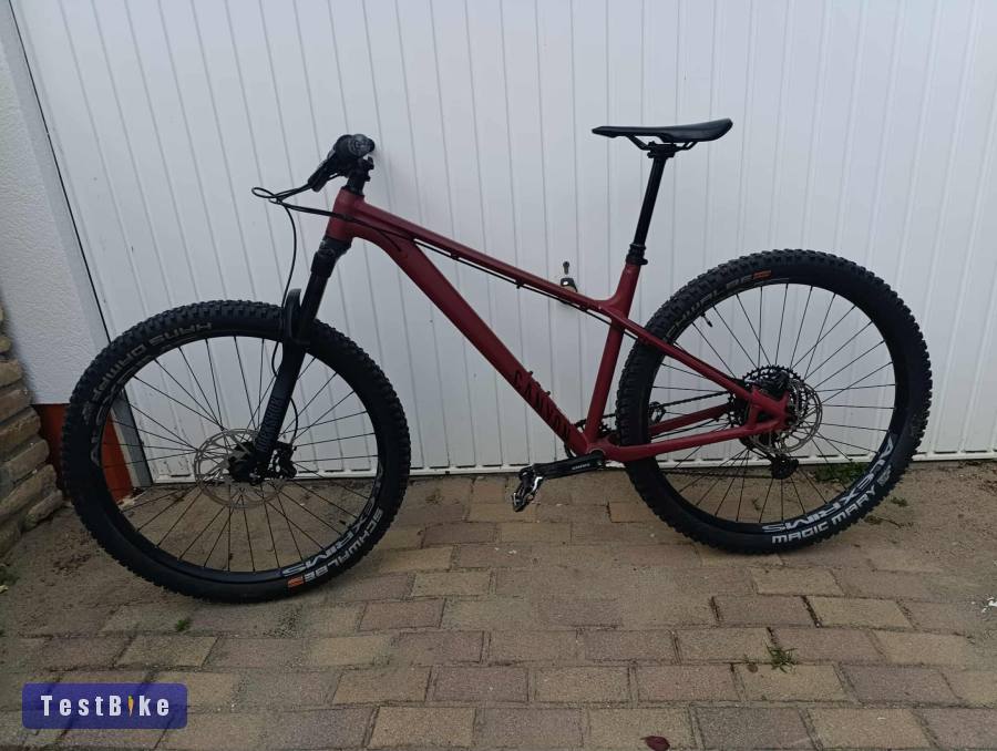 CANYON STOIC 3 2025 L